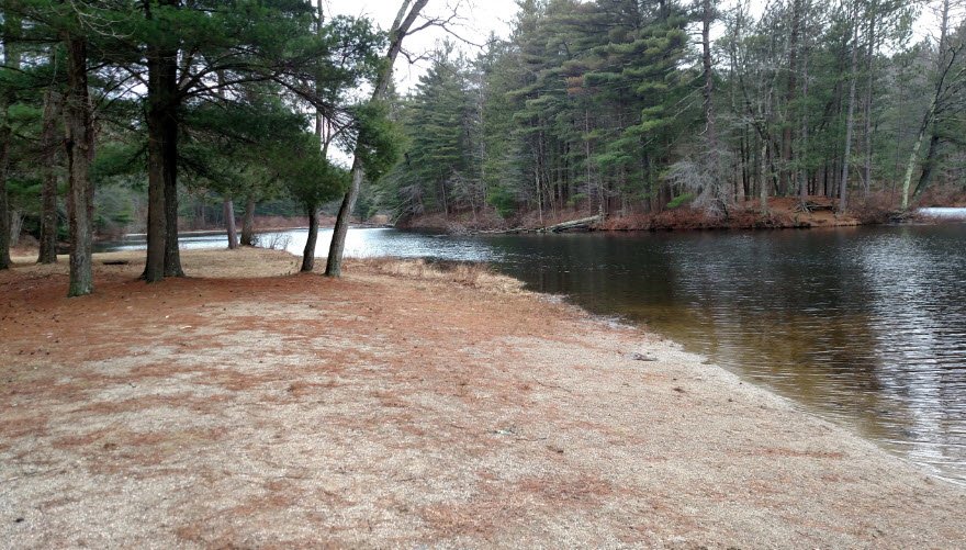 Spencer State Forest